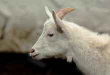 Yaz Akşamları İçin Hafif ve Zarif Kombin Önerileri Yaz Akşamları İçin Hafif ve Zarif Kombin Önerileri