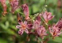 Yaz Tatilinde Giyebileceğiniz En Trend Parçalar Yaz Tatilinde Giyebileceğiniz En Trend Parçalar