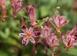 Yaz Tatilinde Giyebileceğiniz En Trend Parçalar Yaz Tatilinde Giyebileceğiniz En Trend Parçalar