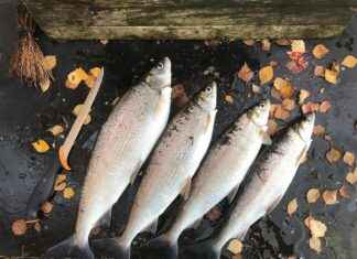 Yazlık Elbiseleri Günlük Hayatta Nasıl Kombinleyebilirsiniz? Yazlık Elbiseleri Günlük Hayatta Nasıl Kombinleyebilirsiniz?