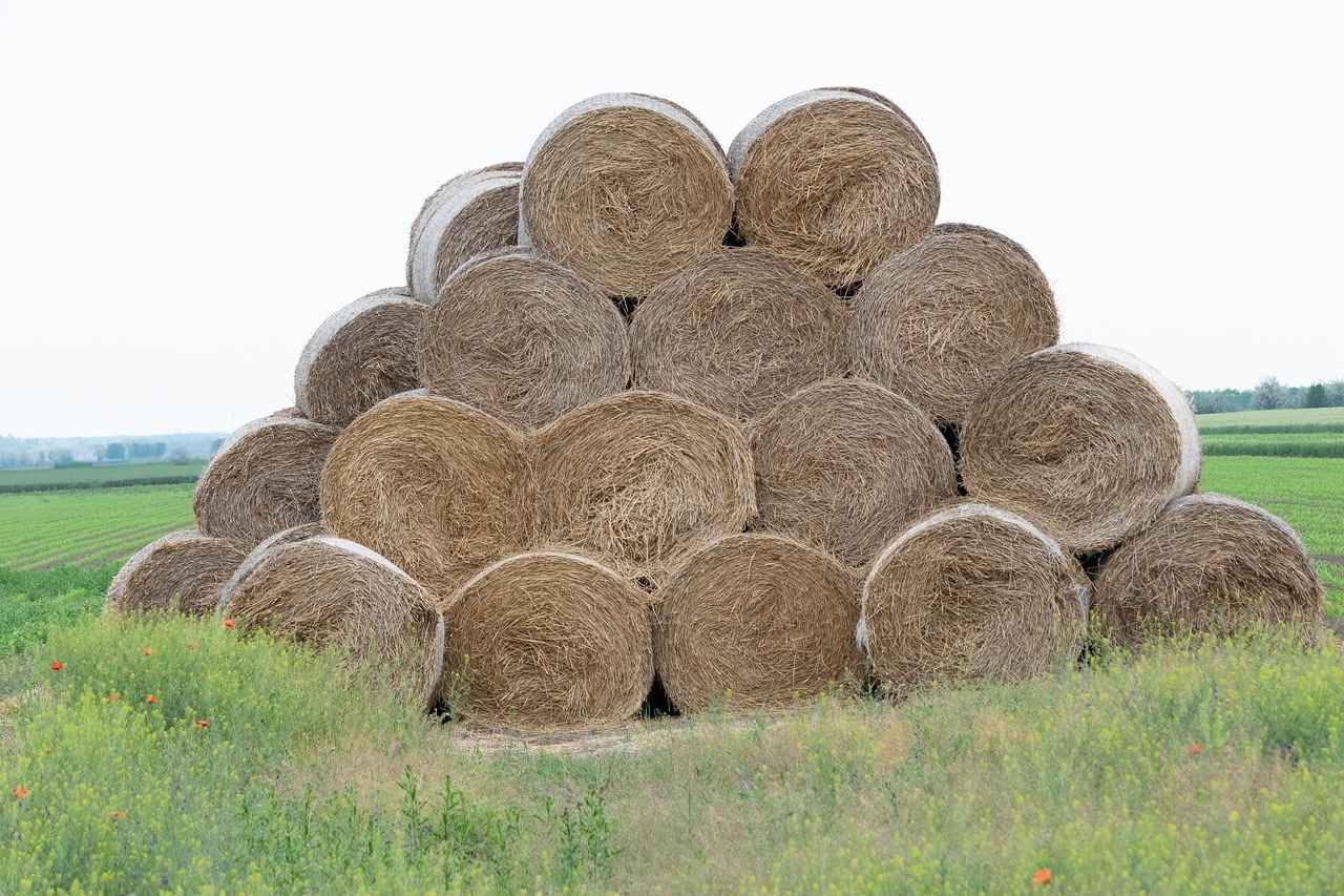 Hasır Çantaların Sürdürülebilirliği