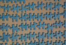 Yeni Sezonun En Popüler Şort Modelleri Yeni Sezonun En Popüler Şort Modelleri