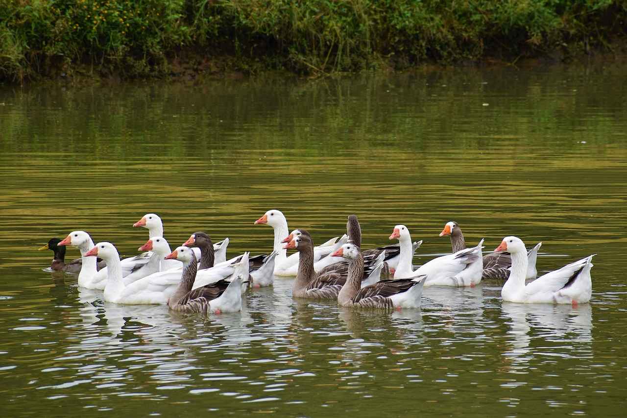 2023 İlkbahar/Yaz Renk Trendleri
