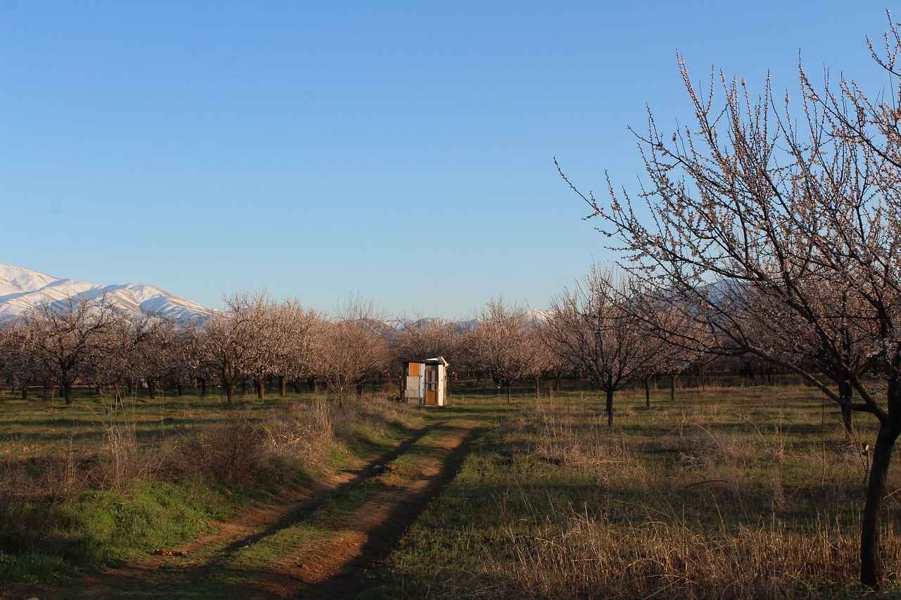 [Küçük Siyah Elbise]