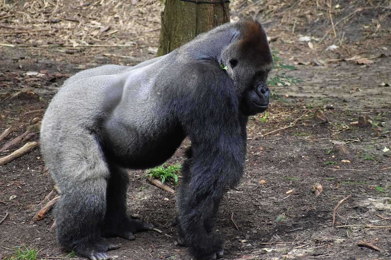 2025'in En Popüler Moda Trendleri Nelerdir?