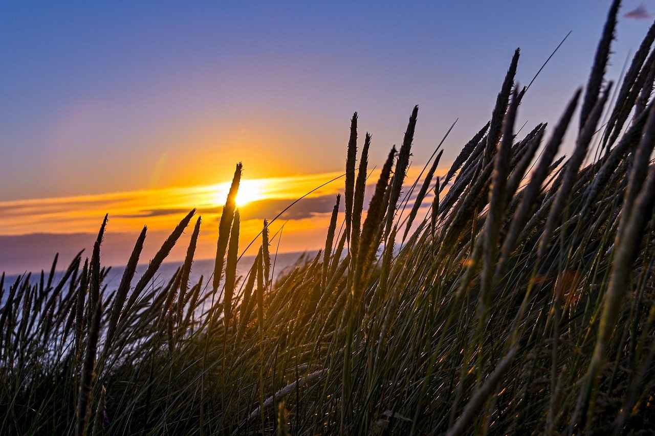 Teknoloji ve Moda Entegrasyonu