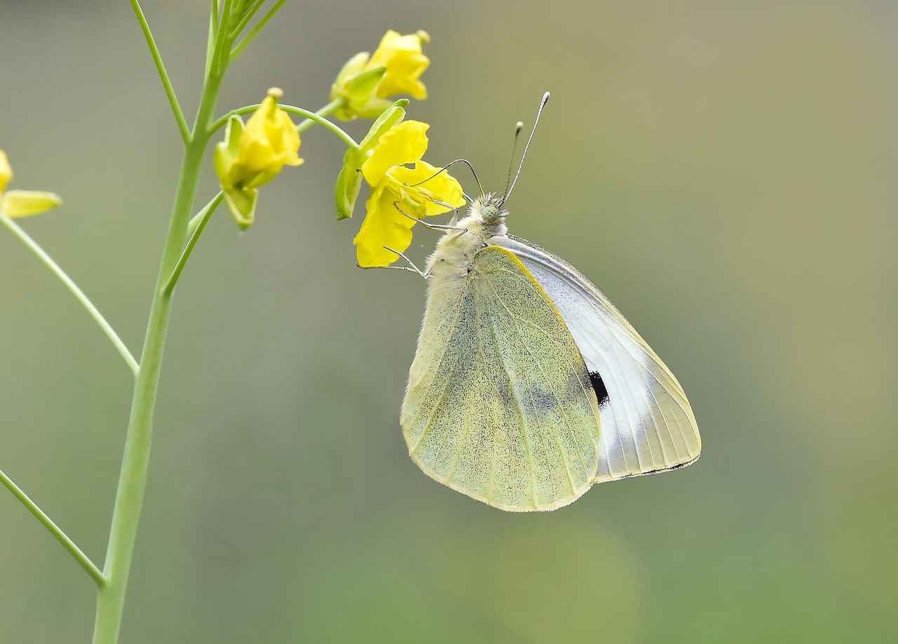 Bahar Modası Trendleri
