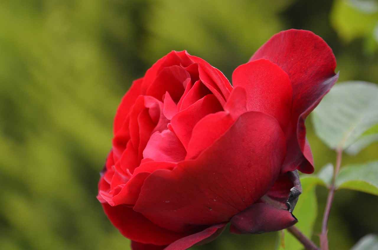 Moda Aksesuarları ile Tamamlama