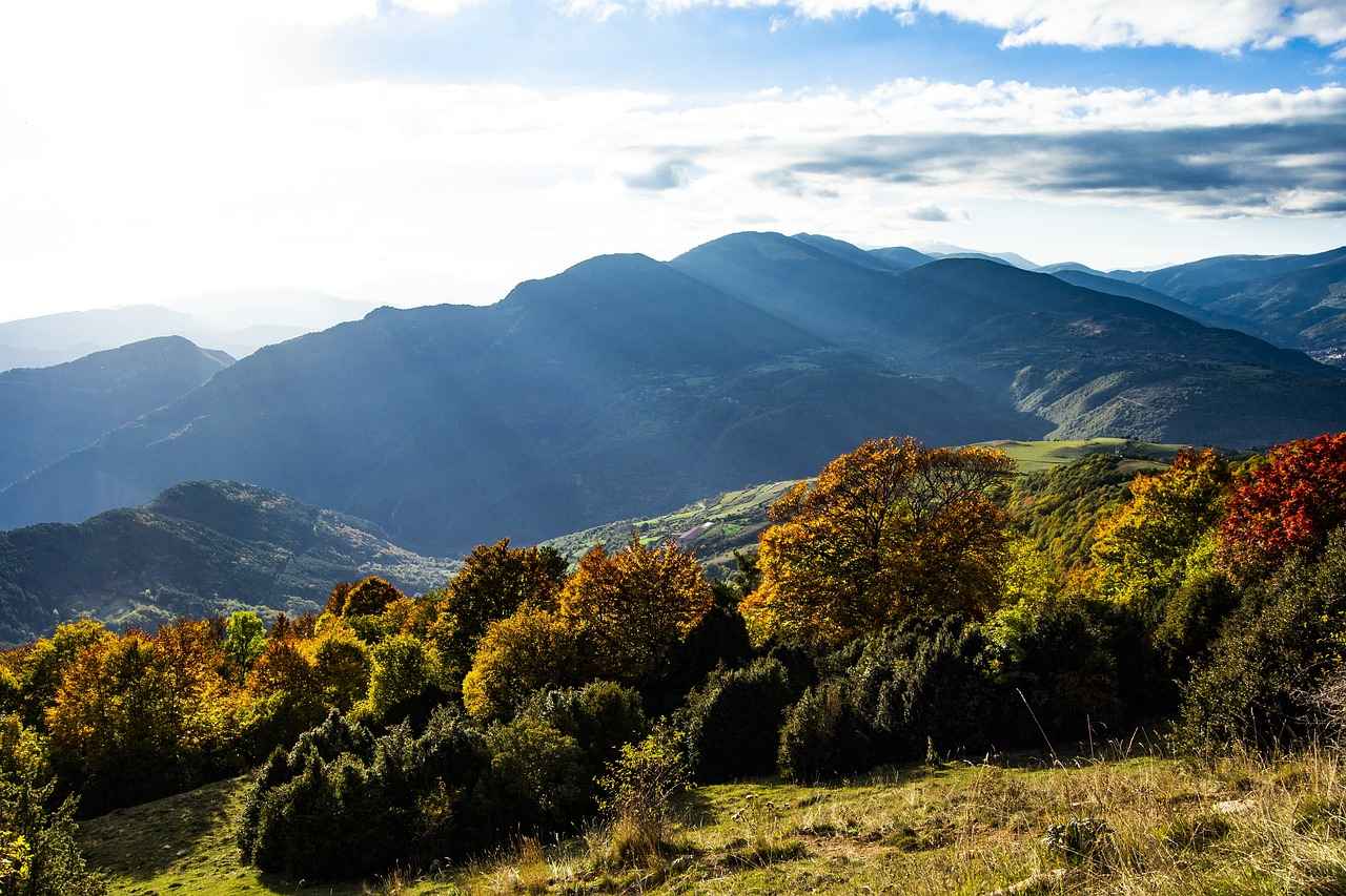 Bohem Elbise Seçenekleri