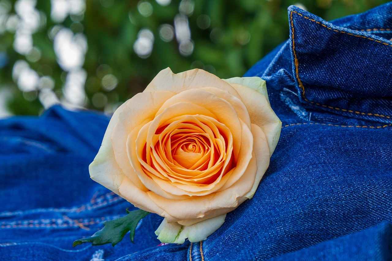 Doğru Jean Seçimi İçin Bilmeniz Gerekenler