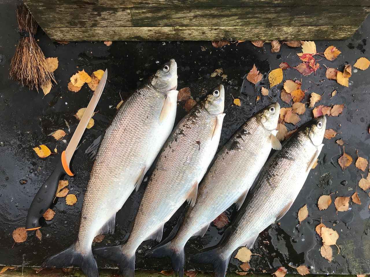 6. Düğünlerde Rahatlık ve Şıklık Dengesi