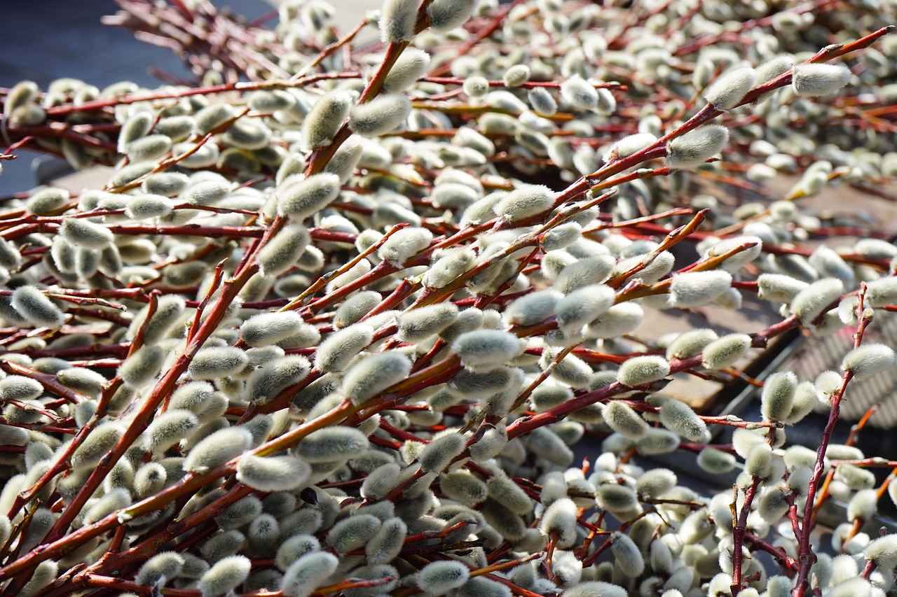 7. Eşarplar: Renk ve Desen Oyunları