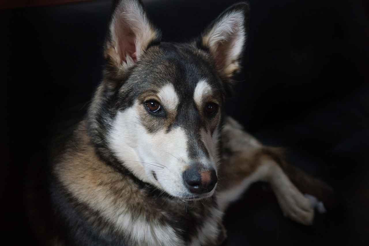 2. İyi Kesim Kot Pantolon