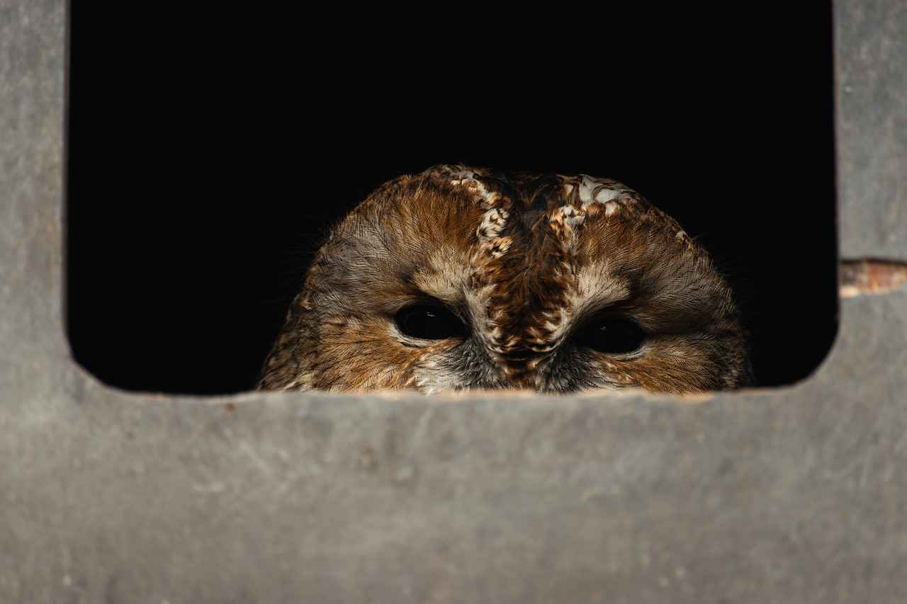 2. Geceye Uygun Aksesuar Seçimleri