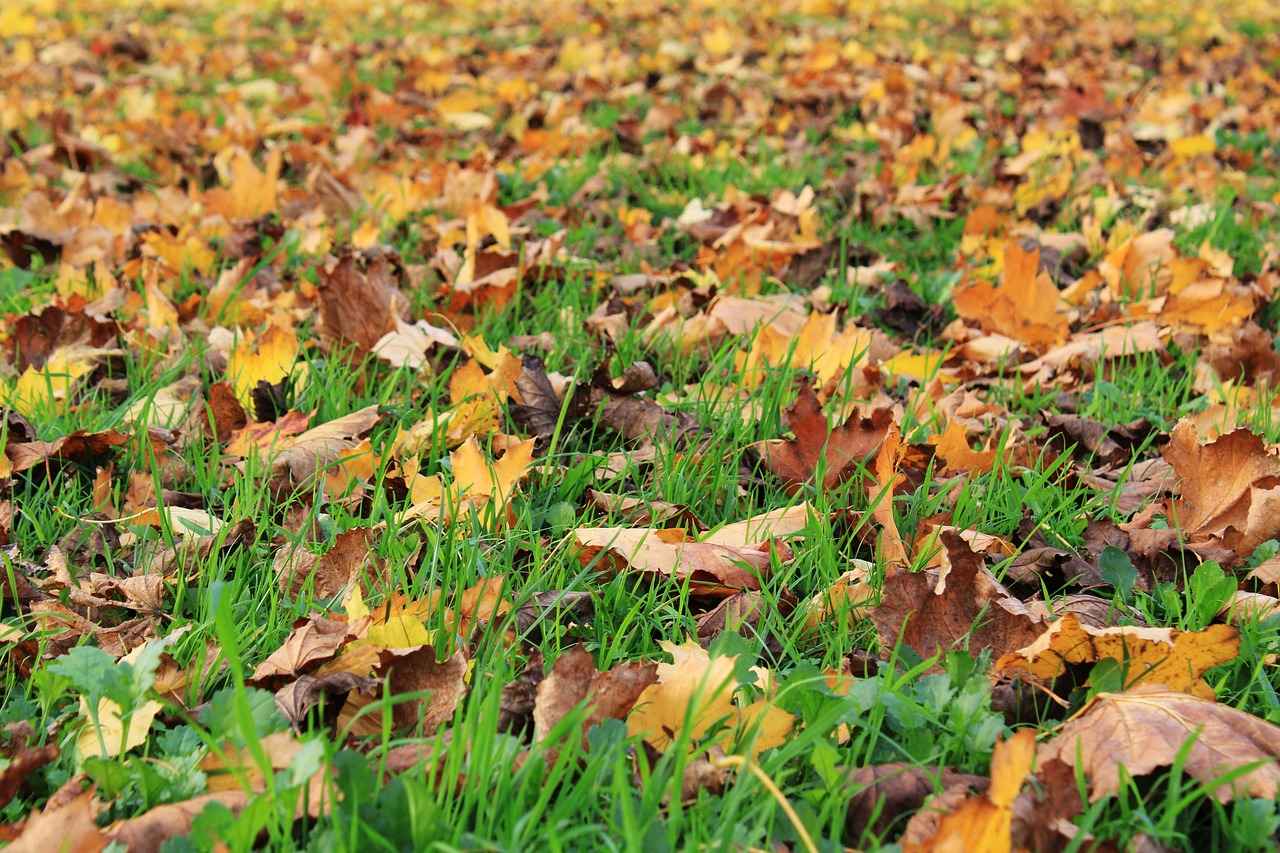 Deri Ceket Seçerken Nelere Dikkat Edilmeli?