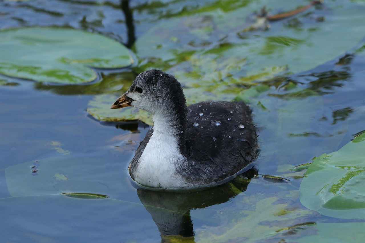 7. Kot Pantolon ve Gömlek Kombinlerinde Yapılan Hatalar