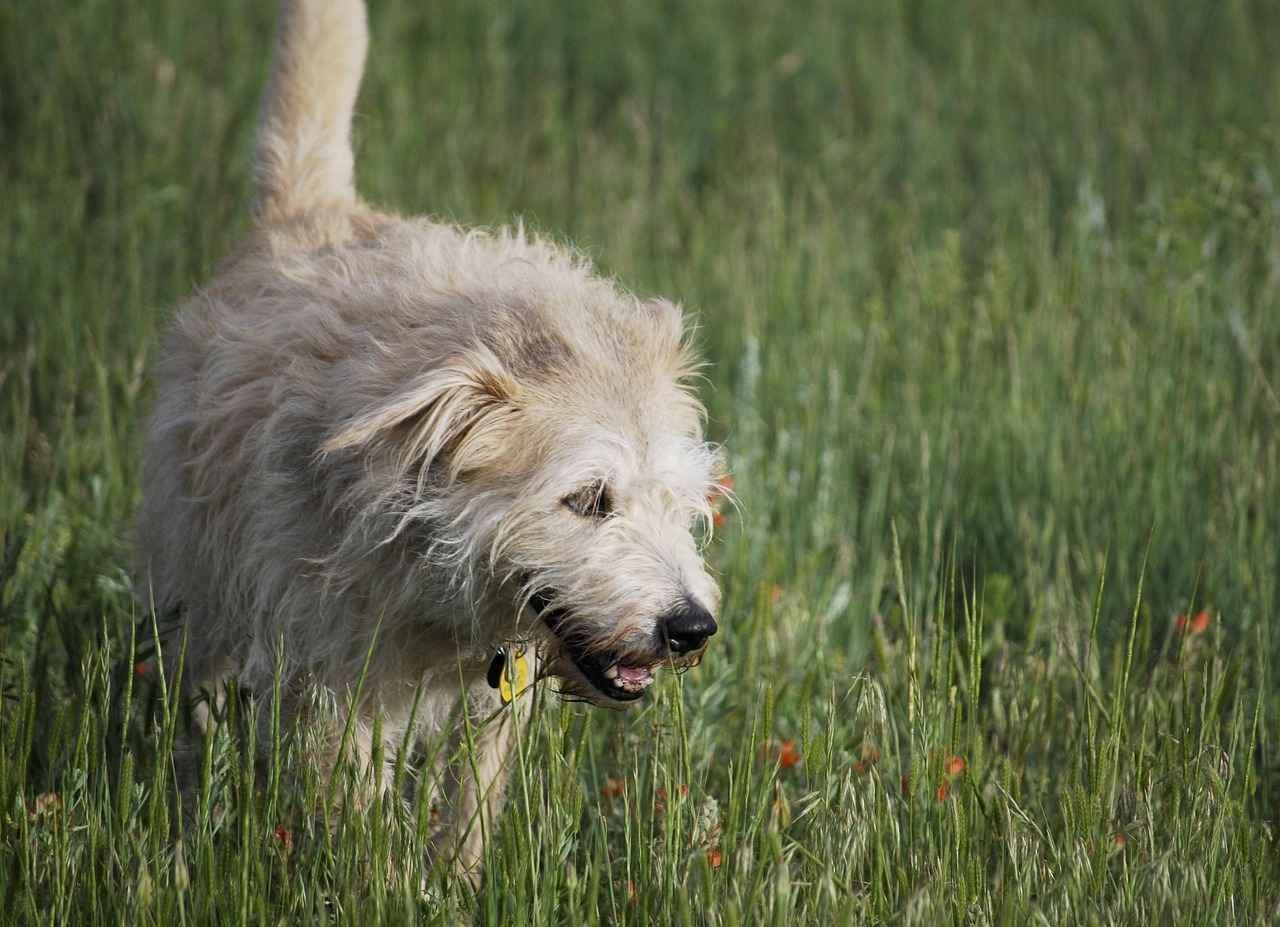 2. Farklı Kot Pantolon Modelleri