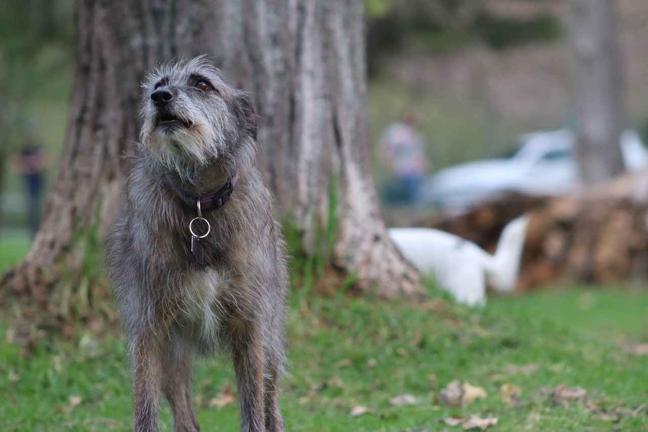 9. Kot Pantolon ve Gömlek Kombinleri ile İlgili Sık Sorulan Sorular