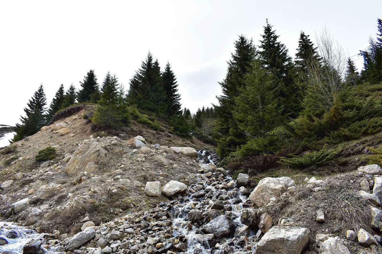 Günlük Hayatta Şapka ve Bere Kullanımı