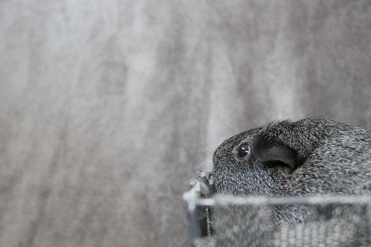 Satenin Tarihçesi ve Moda Üzerindeki Etkisi