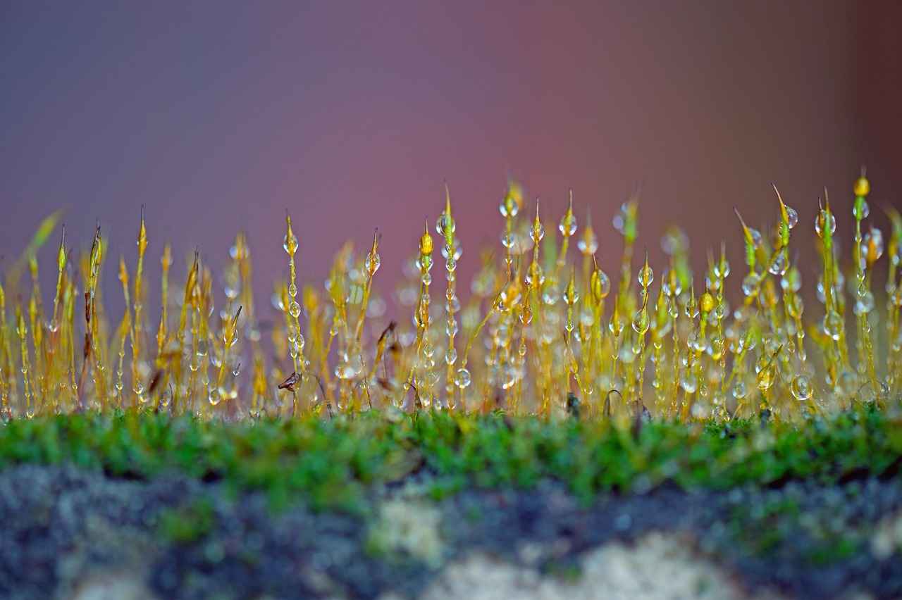 Günlük Hayatta Spor Kıyafetleri Şık Kullanma Tüyoları