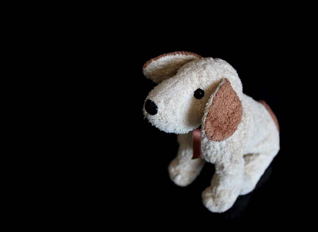 Kot Pantolon Bakımı ve Temizliği