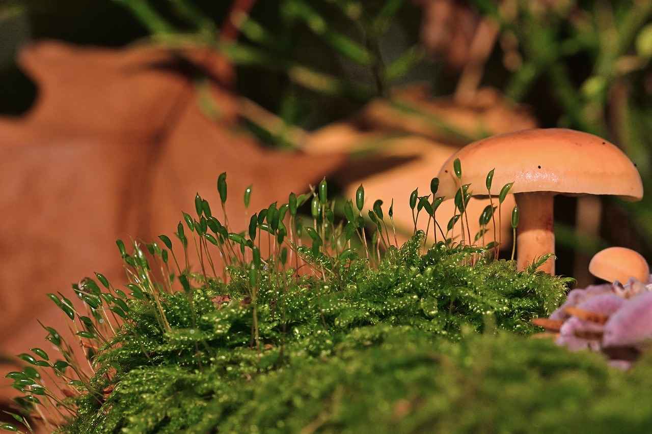 Günlük Kombinlerde Spor Ayakkabı Kullanımı