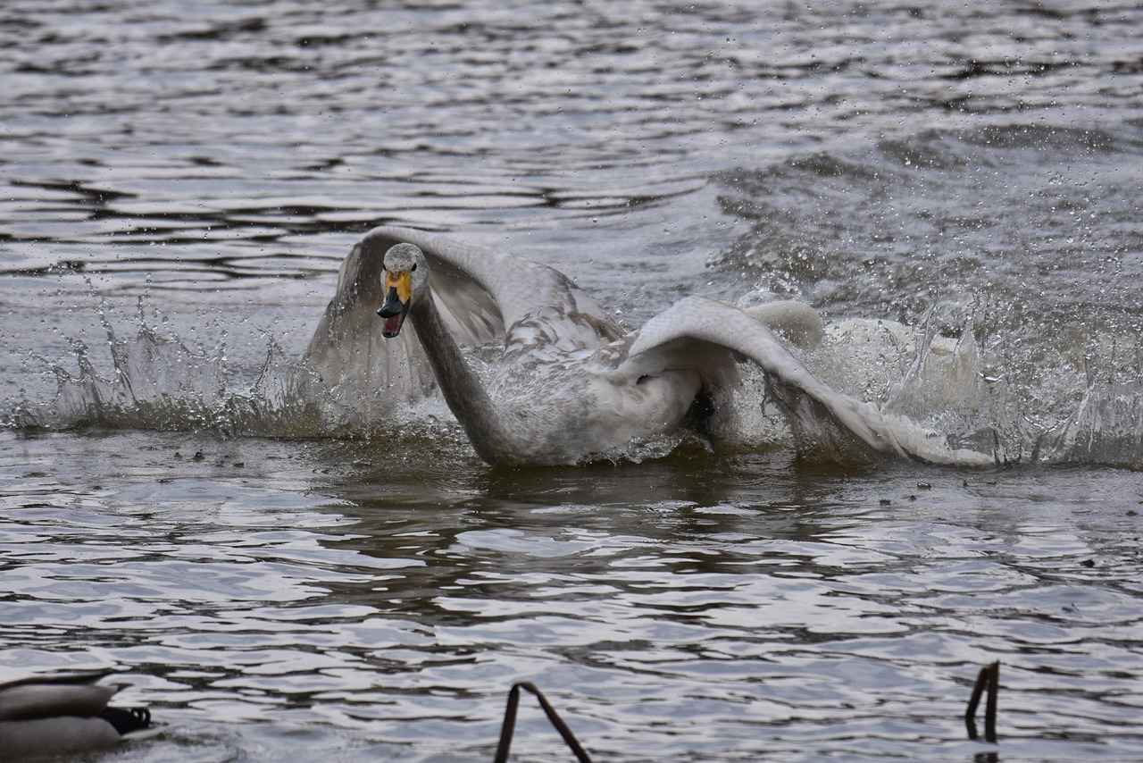 Günlük Kombinlerde Spor ve Şık Tarzı Birleştirmenin Yolları
