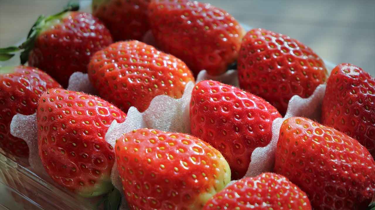 2. Farklı Takım Elbise Kesimleri