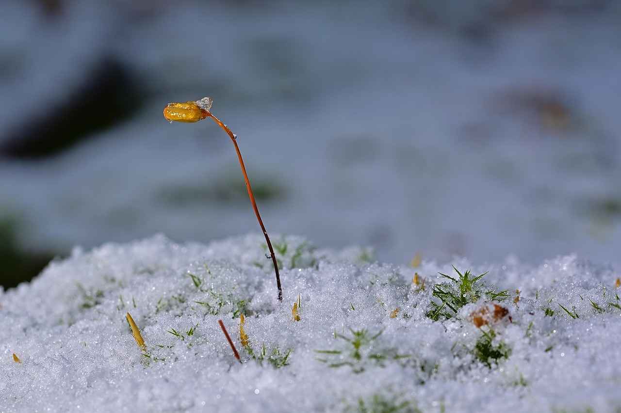 Kadınlar İçin En Trend Spor Giyim Kombinleri