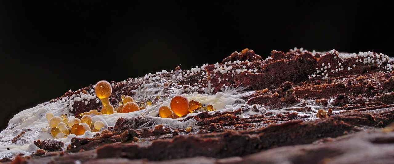 1. Spor Giyimde Renk Seçimi