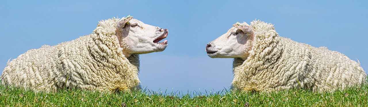 5. Spor Kombinlerinde Aksesuarların Rolü