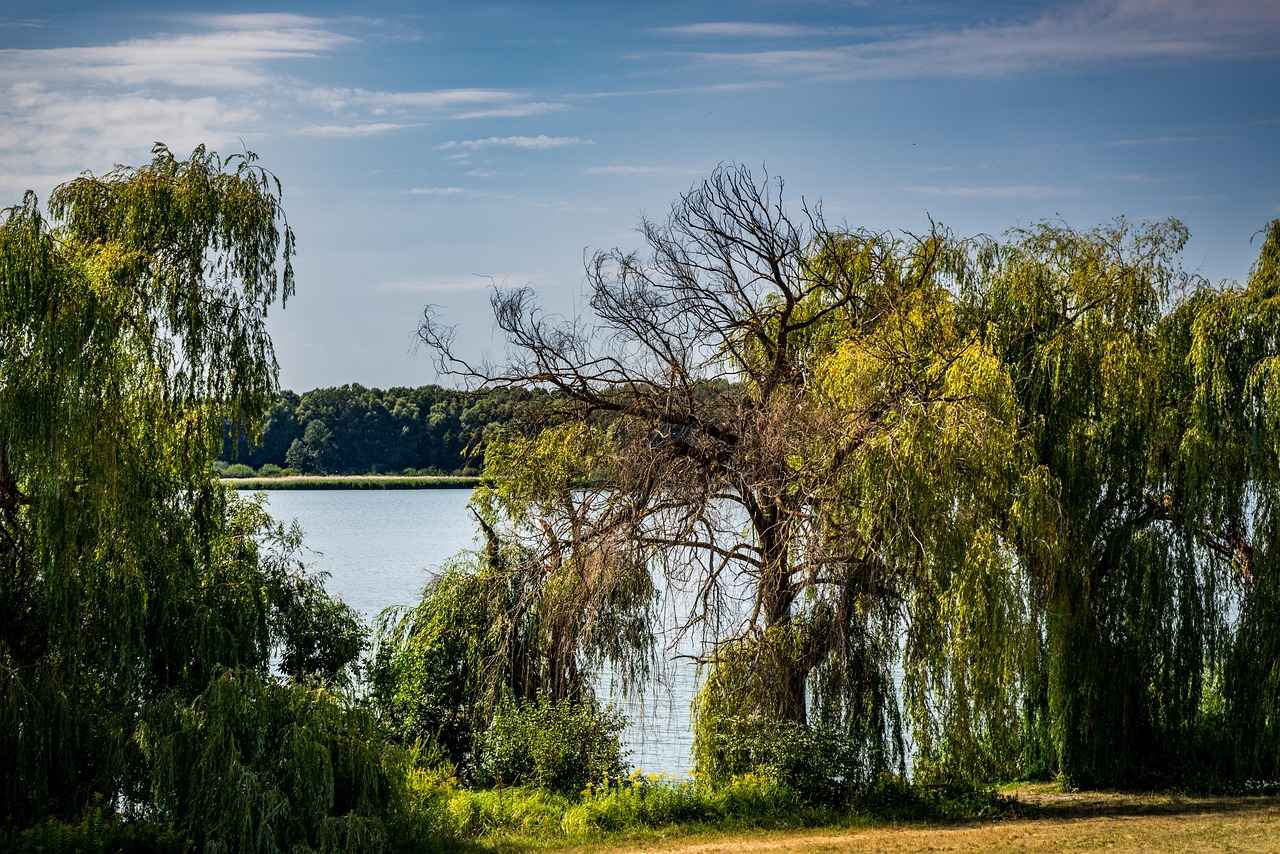 4. Atkı Kullanımında Dikkat Edilmesi Gerekenler