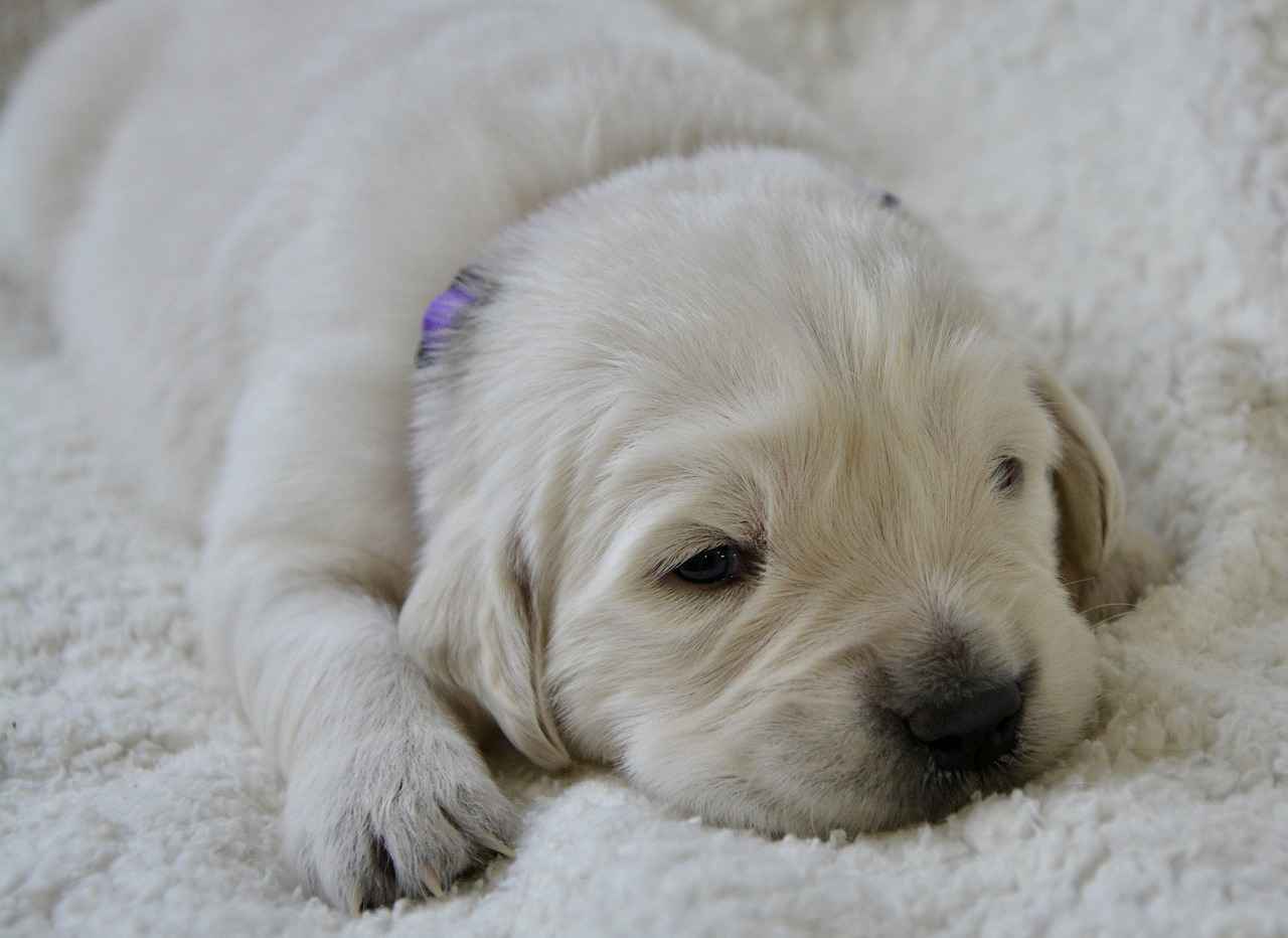 Moda Haftalarından İlham Alarak Tarzınızı Yenileyin