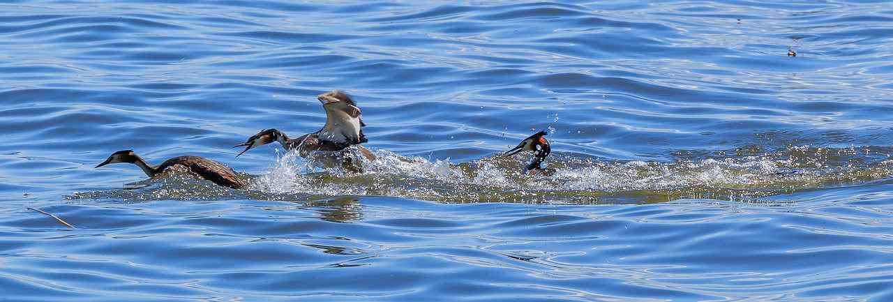 1. Rahat Kesimler ve Oversize Modası