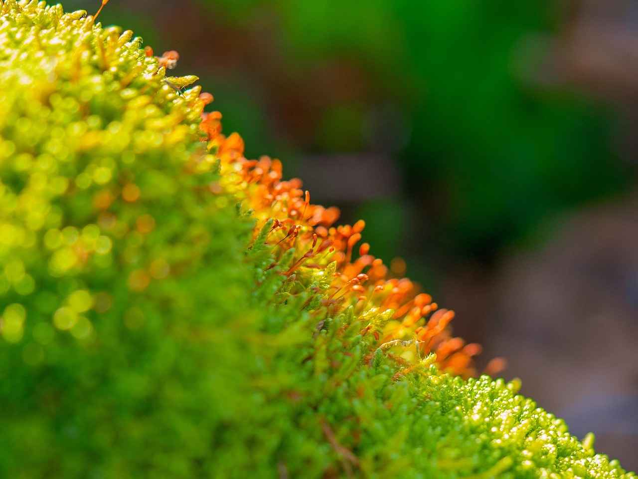 4. Renkli ve Canlı Desenler