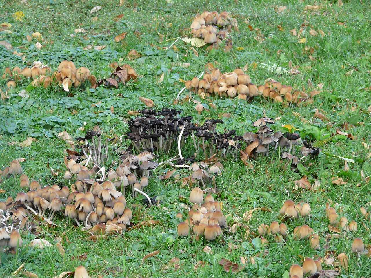 7. Katmanlı Giyim Stili