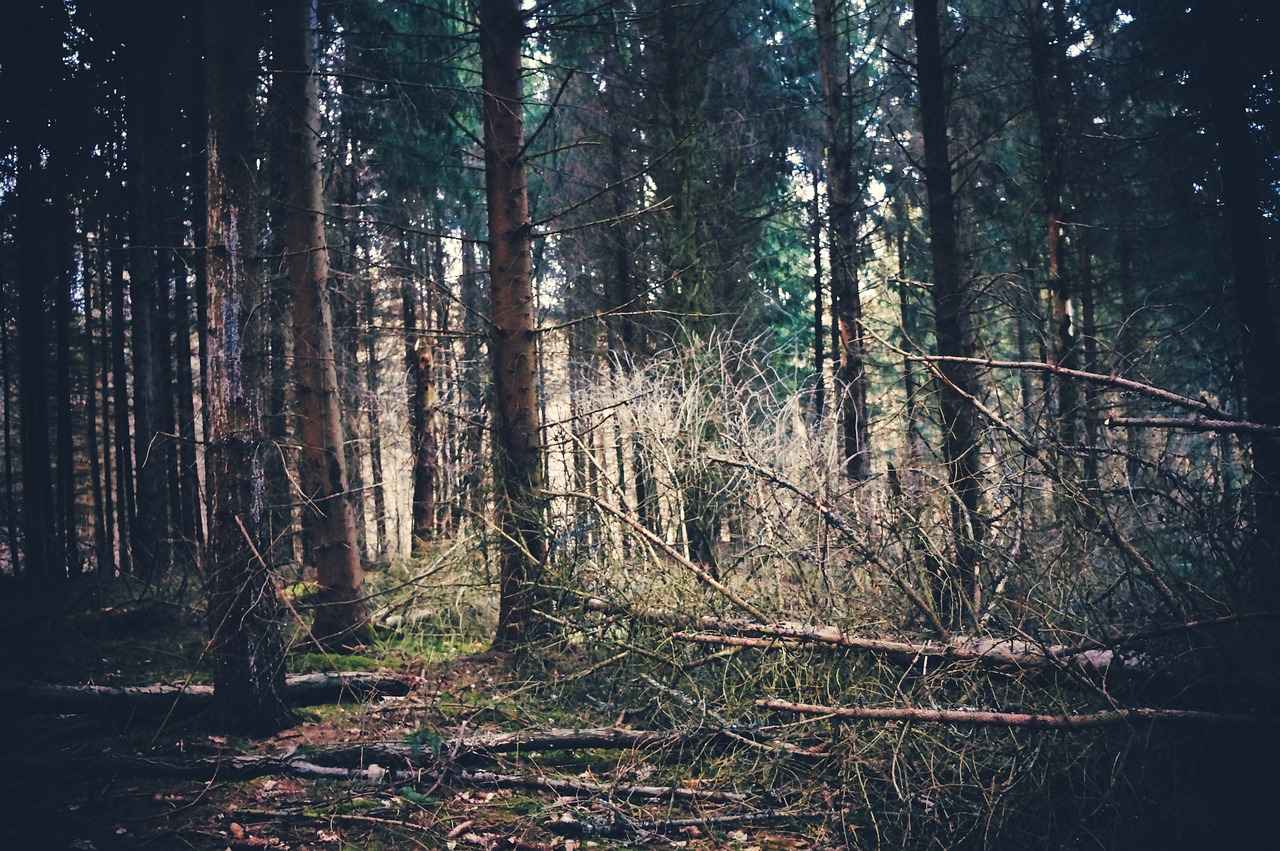 7. Triko ve Kazak Kombinlerinde Hangi Aksesuarlar Kullanılmalı?